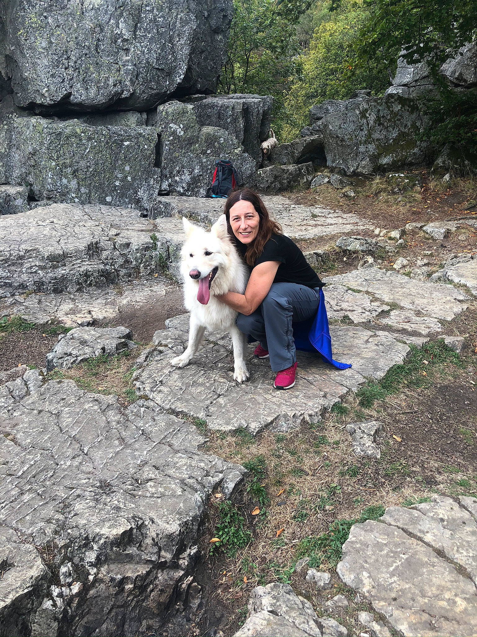 Falco participe au concours pour gagner de l'argent avec cette photo : adventure, canidae, carnivore, czechoslovakian_wolfdog, dog, dog_breed, dog_hiking, leg, non_sporting_group, northern_inuit_dog, rock, siberian_husky, vacation, walking, white_shepherd, wolfdog