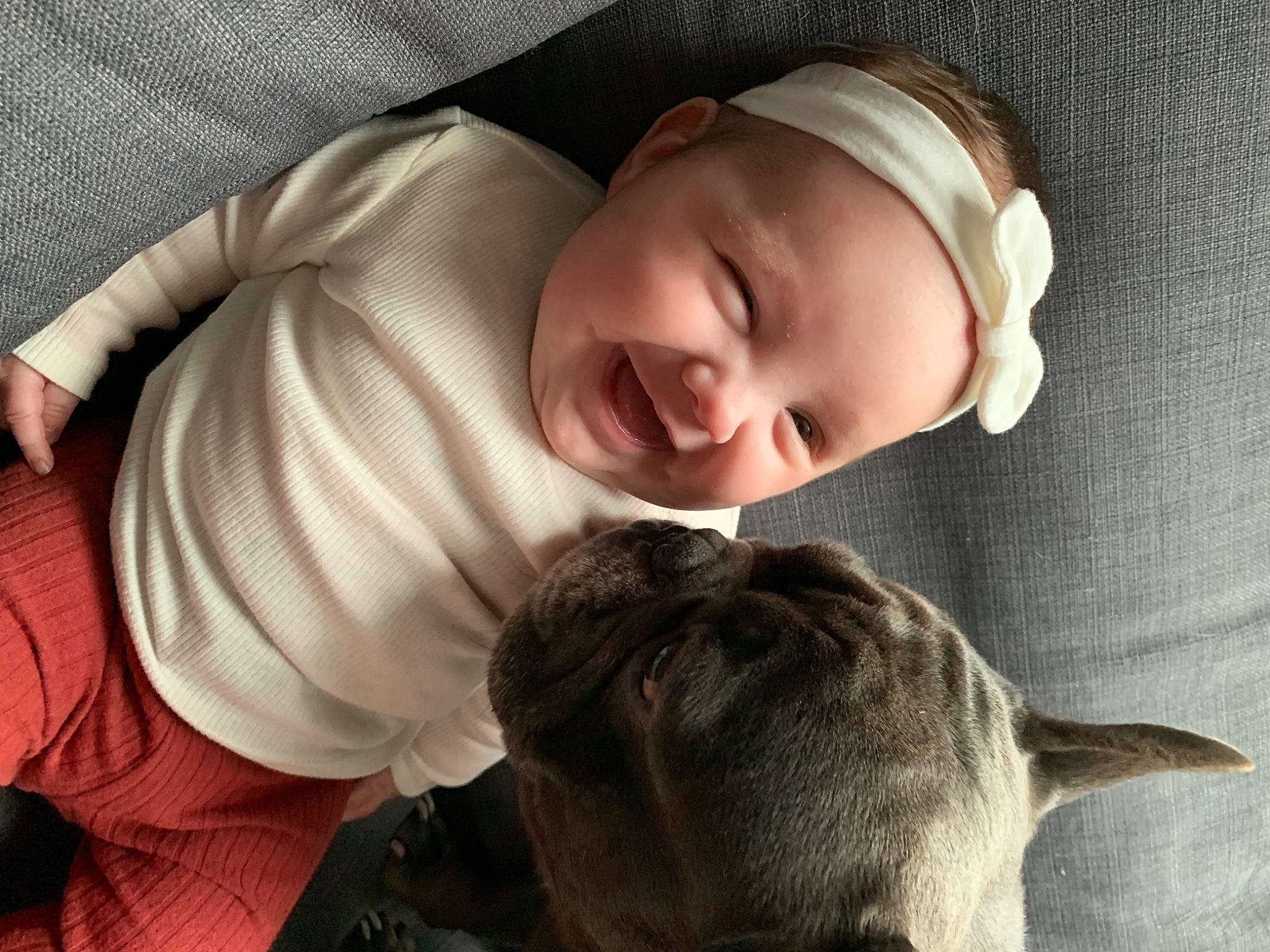 Rachel participe au concours pour gagner de l'argent avec cette photo : baby, bedtime, carnivore, child, comfort, companion_dog, dog, dog_breed, ear, felidae, fur, happy, headwear, mammal, nap, person, skin, small_to_medium_sized_cats, smile, toddler
