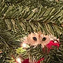 cat, christmas_tree, pine_branches, christmas_lights, peeking, eyes, pet, holiday, decorations, greenery, closeup, festive, artificial_tree, red_tree_skirt, indoors, hiding, curious, cute, needle, sparkle