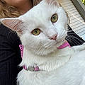 Heidi D.