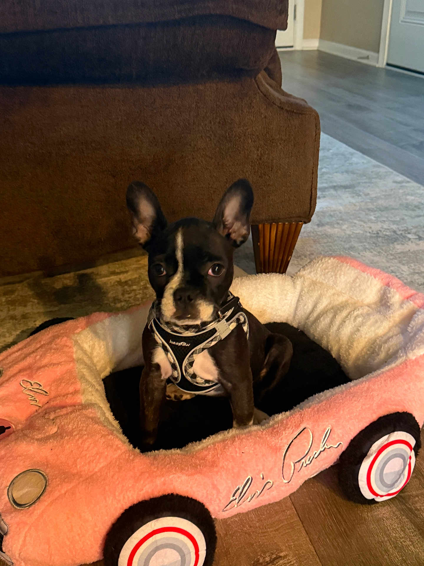 Nala