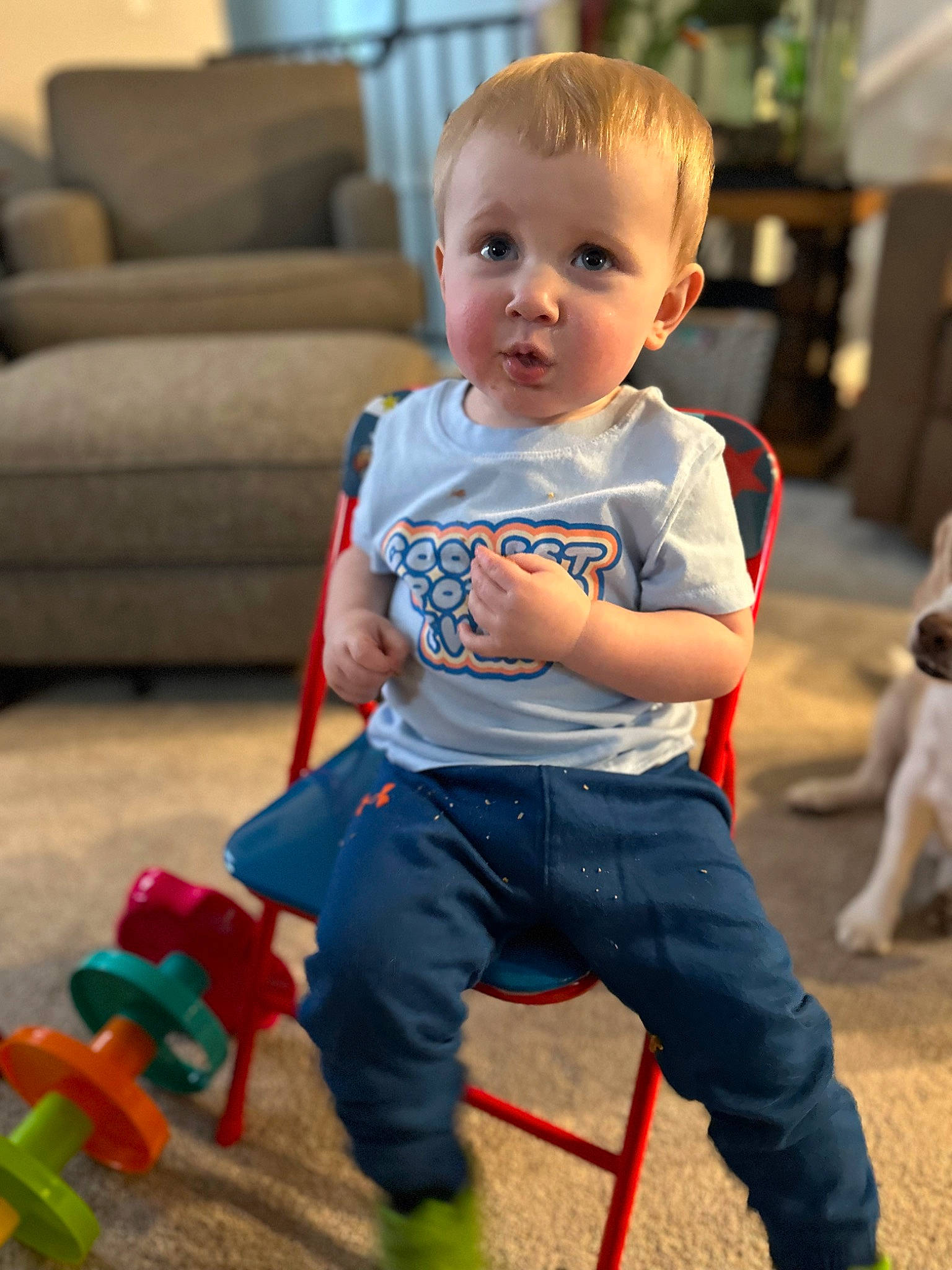 Kooper joined the competition — help win amazing prizes! baby, baby_toddler_clothing, child, companion_dog, couch, dog, face, flooring, fun, grass, happy, head, leisure, mammal, person, play, recreation, sitting, t_shirt, toddler