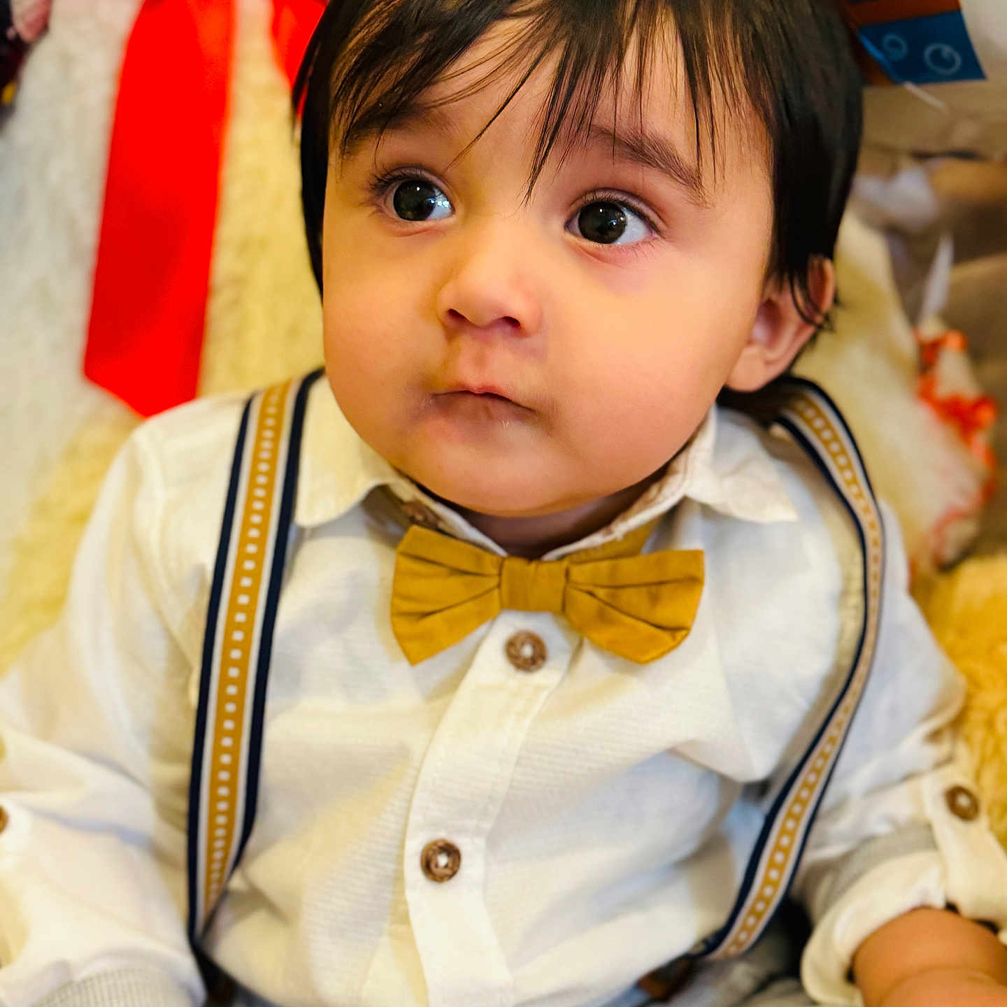 Orhan joined the competition — help win amazing prizes! accessories, baby, bodypart, bowtie, clothing, coat, couch, face, finger, formalwear, furniture, hand, head, pants, person, photography, portrait, shirt, suspenders, tie