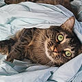Linda P.