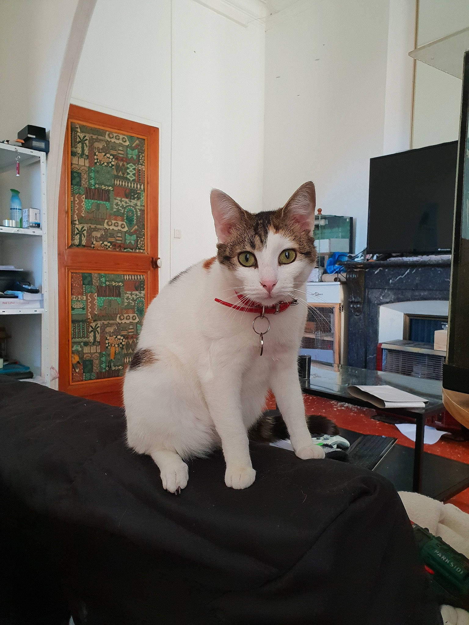 Missa a rejoint le concours — aidez-le/la à gagner de superbes lots !