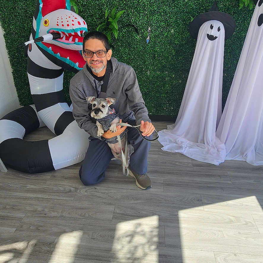Milo is registered to the contest to win money with this photo: casual_clothing, decorations, dog, ghost_decorations, glasses, green_wall, happy, harness, indoor, inflatable_snake, kneeling, leash, man, pet_wash, playful, portrait, shadow, sign, smiling, wooden_floor