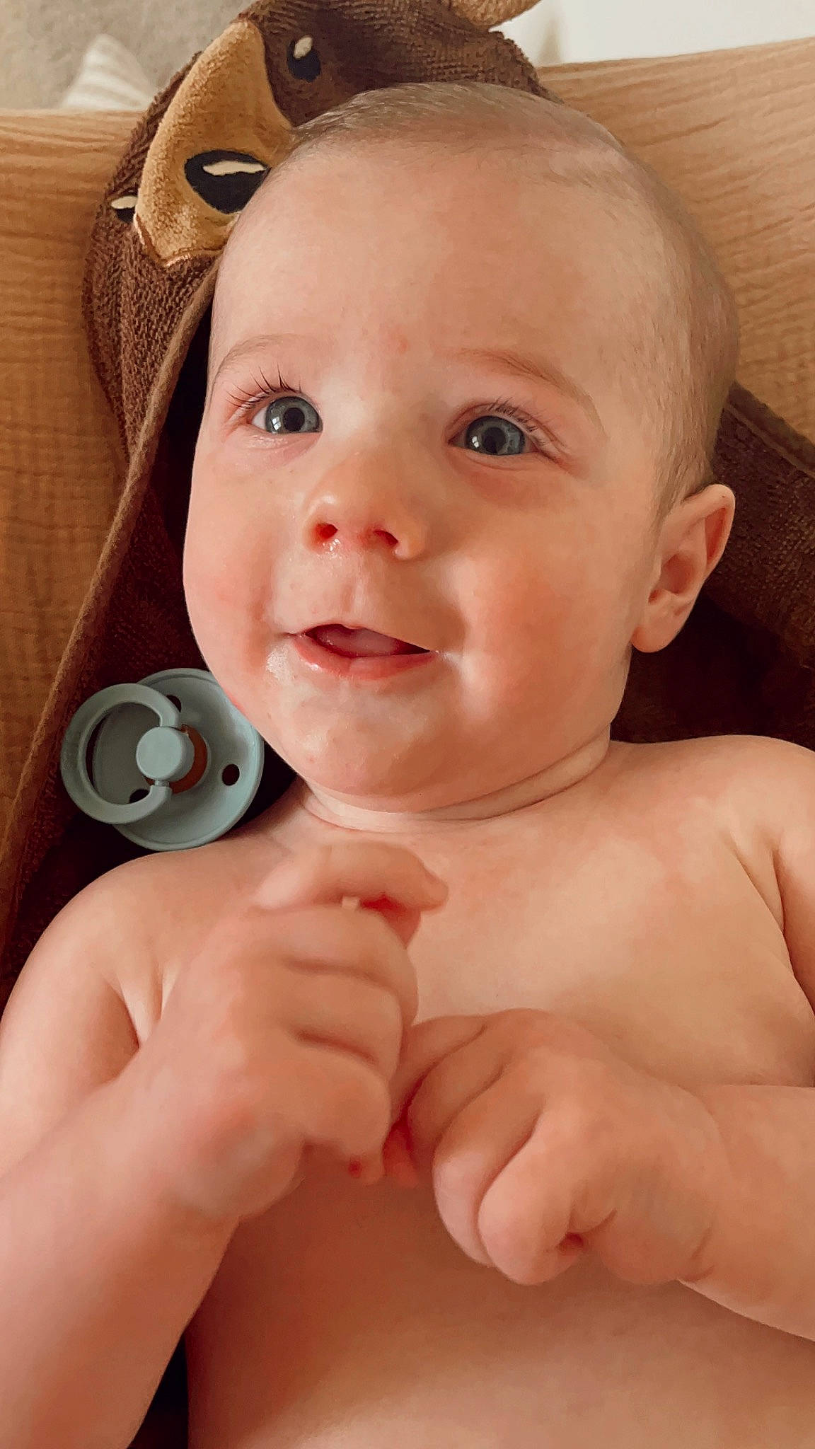 Bear joined the competition — help win amazing prizes! baby, cheek, chin, ear, eyebrow, eyelash, face, finger, gesture, hand, head, iris, lip, mouth, neck, nose, person, skin, smile, thumb