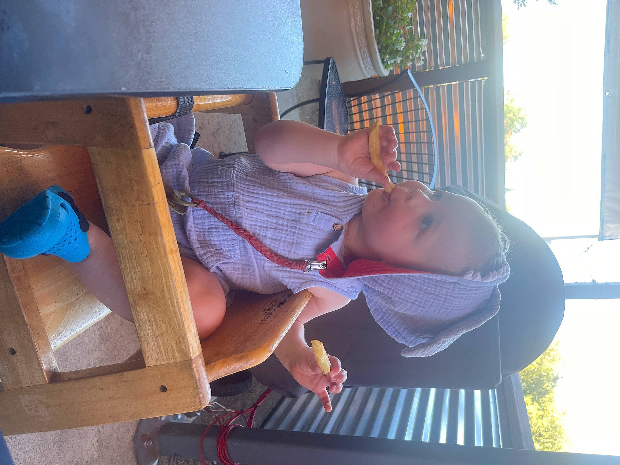 Bear joined the competition — help win amazing prizes! child, comfort, fun, hat, headwear, houseplant, human_leg, leisure, person, plant, room, shelving, shorts, sitting, vacation, window, wood