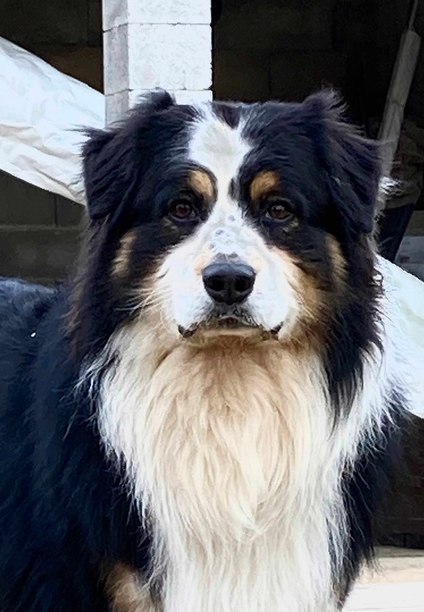 Max