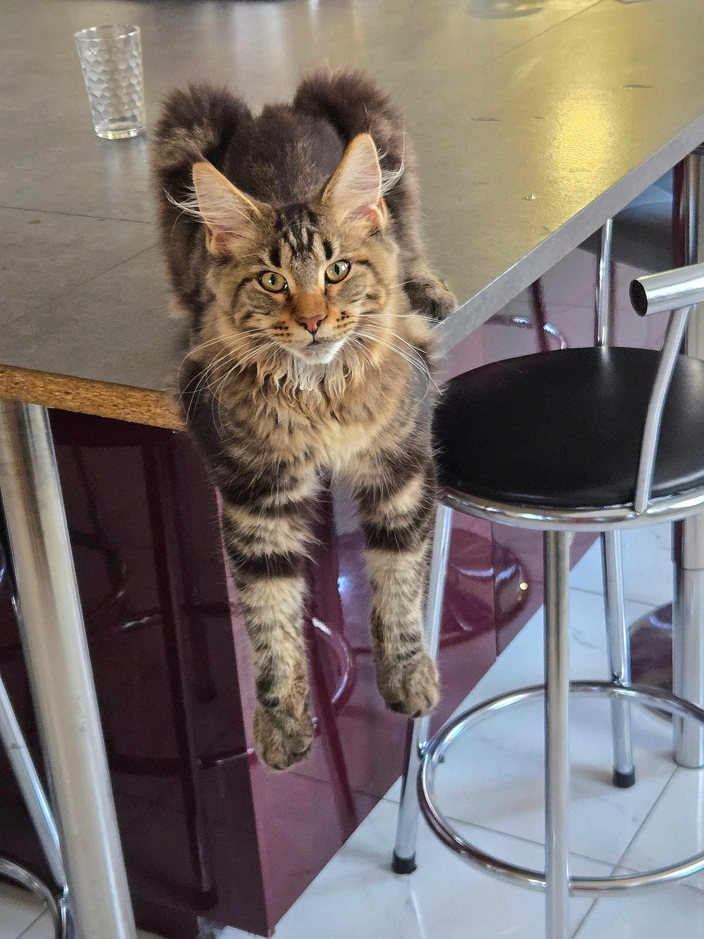 Aiko