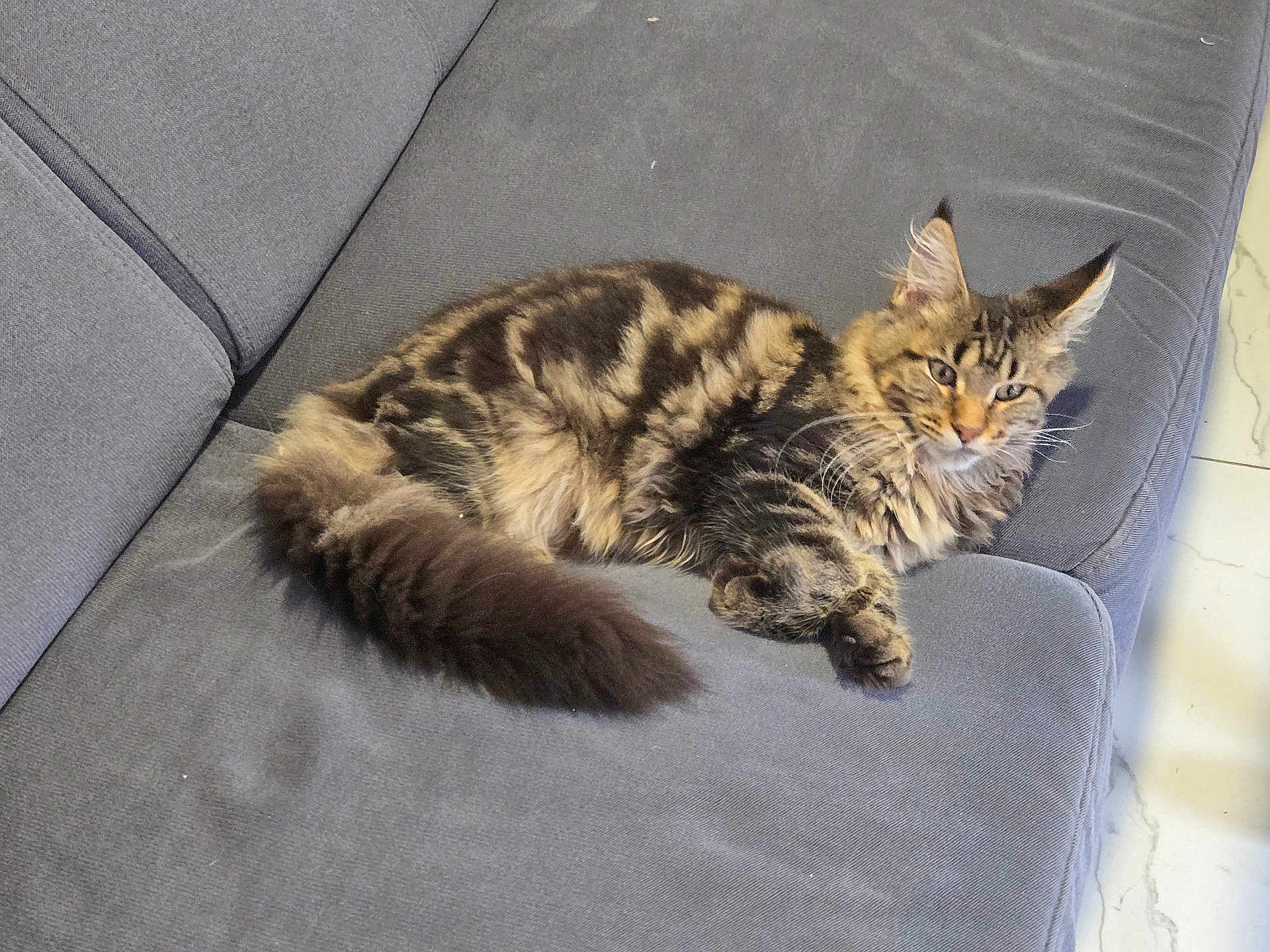 Aiko