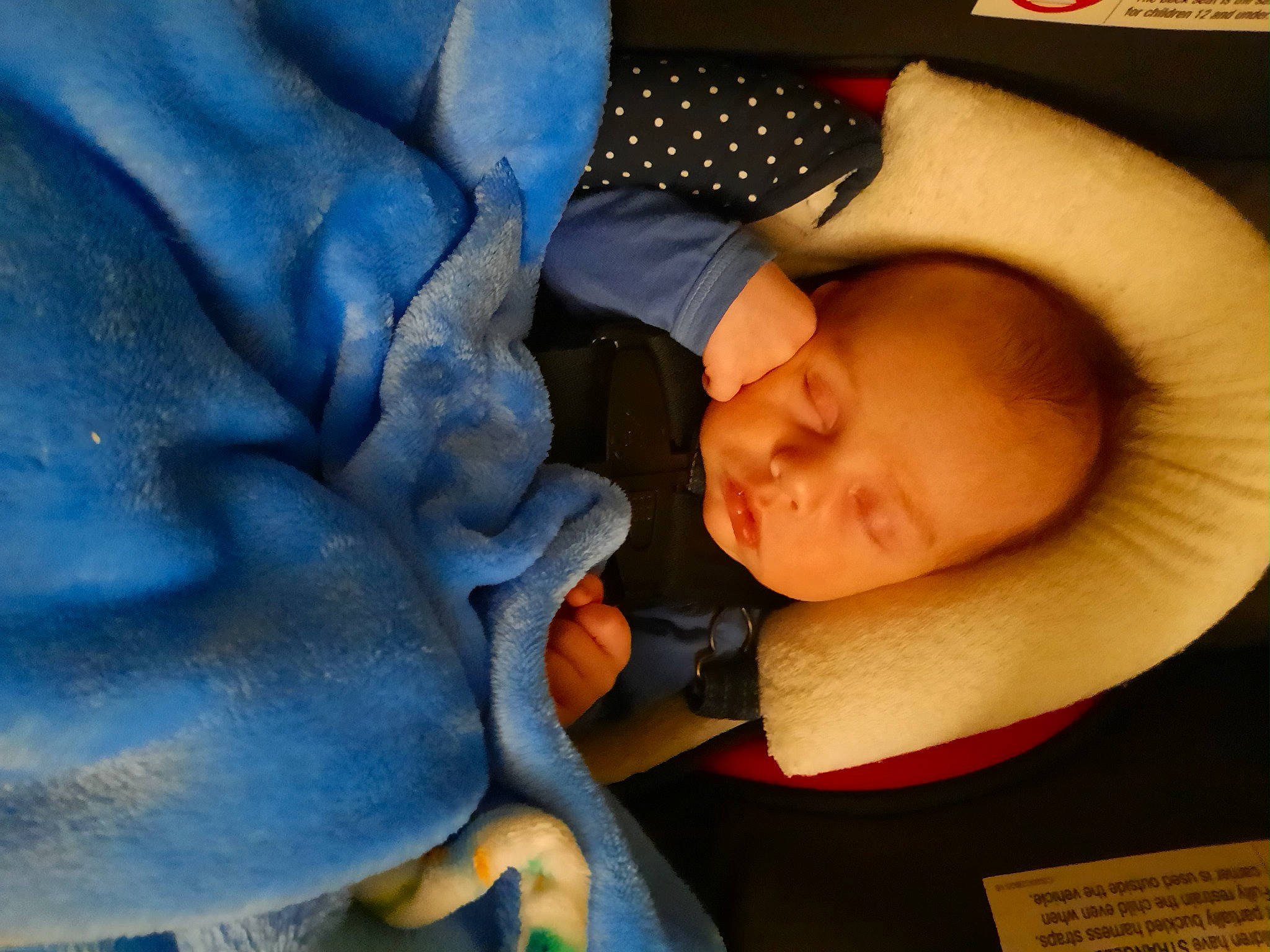 Carlo is registered to the contest to win money with this photo: baby, child, finger, hand, mouth, nap, person, sleep, thumb