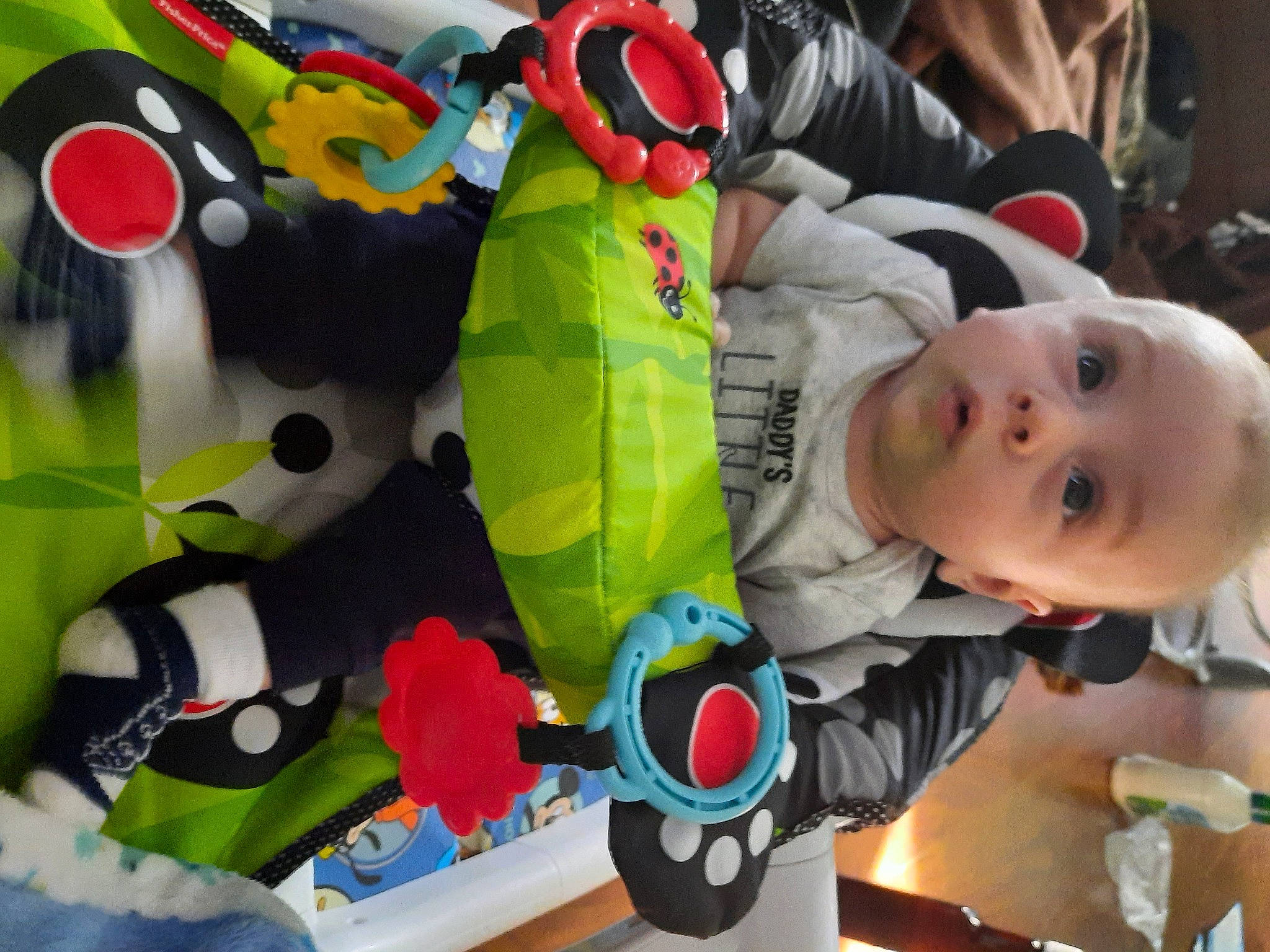Carlo is registered to the contest to win money with this photo: baby, baby_products, baby_toys, child, person, play, plush, stuffed_toy, surprise, toddler, toy