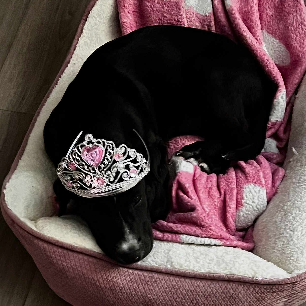 Maggie