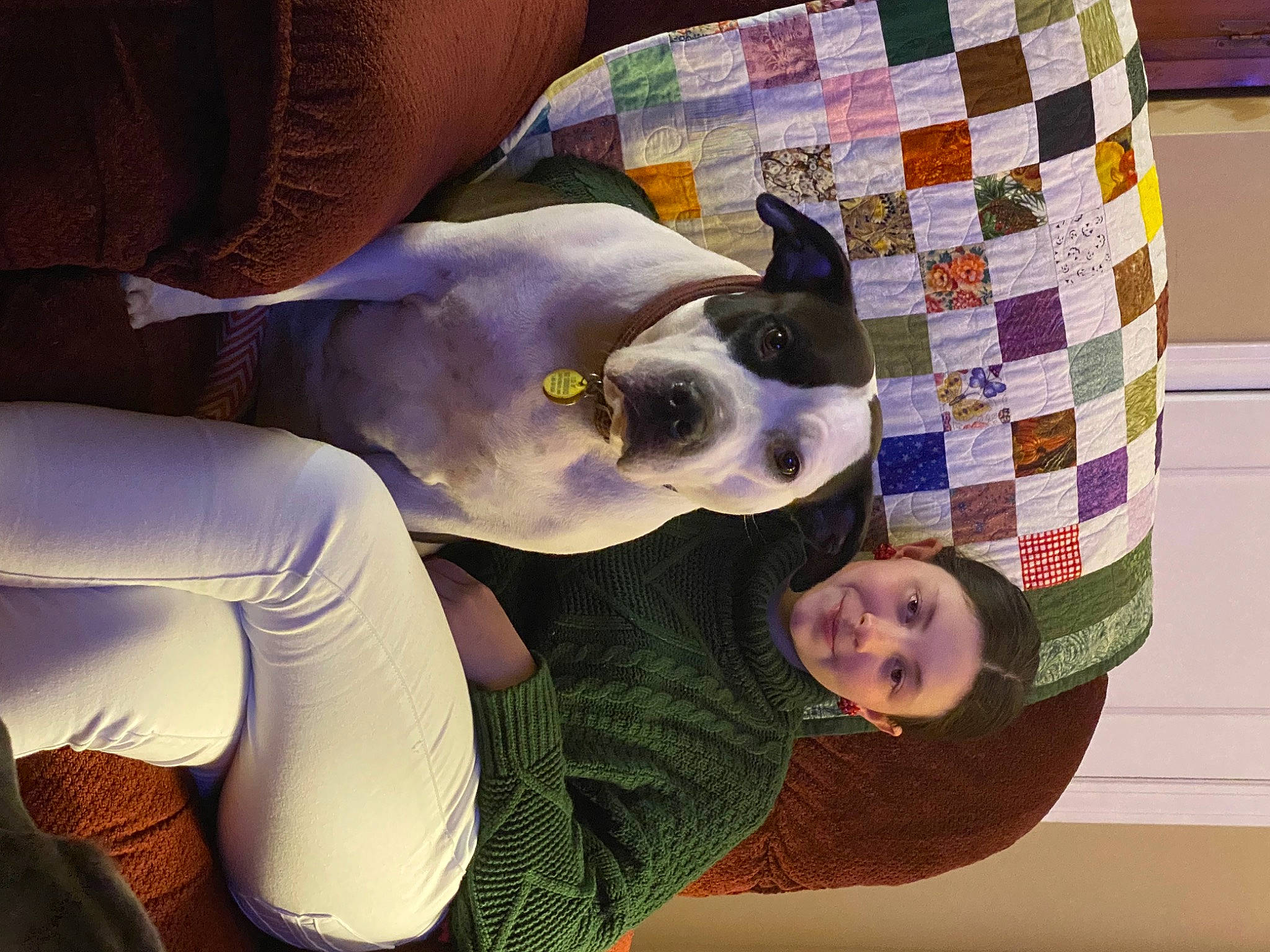 Lola joined the competition — help win amazing prizes! canidae, carnivore, comfort, companion_dog, dog, dog_breed, ear, eyewear, fawn, fun, fur, gesture, non_sporting_group, pattern, purple, smile, sporting_group, sunglasses