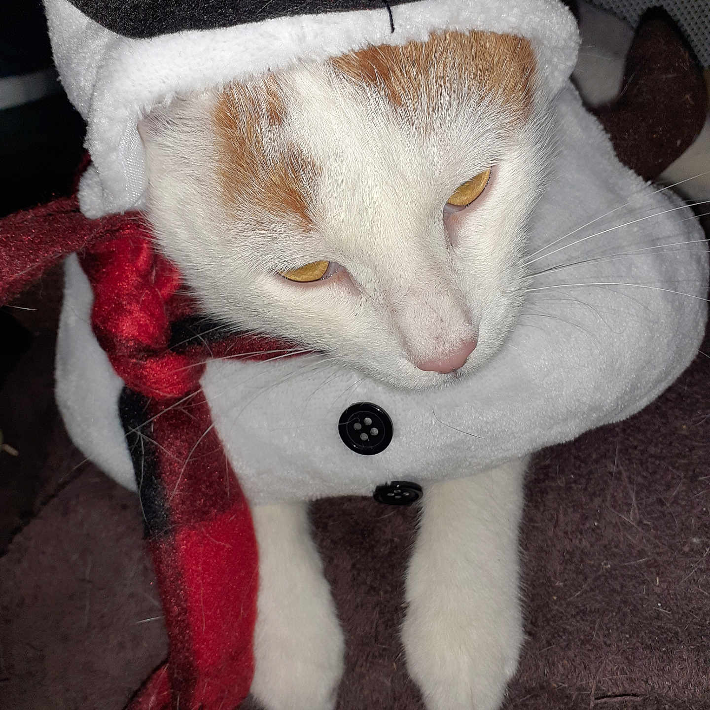 Olaf