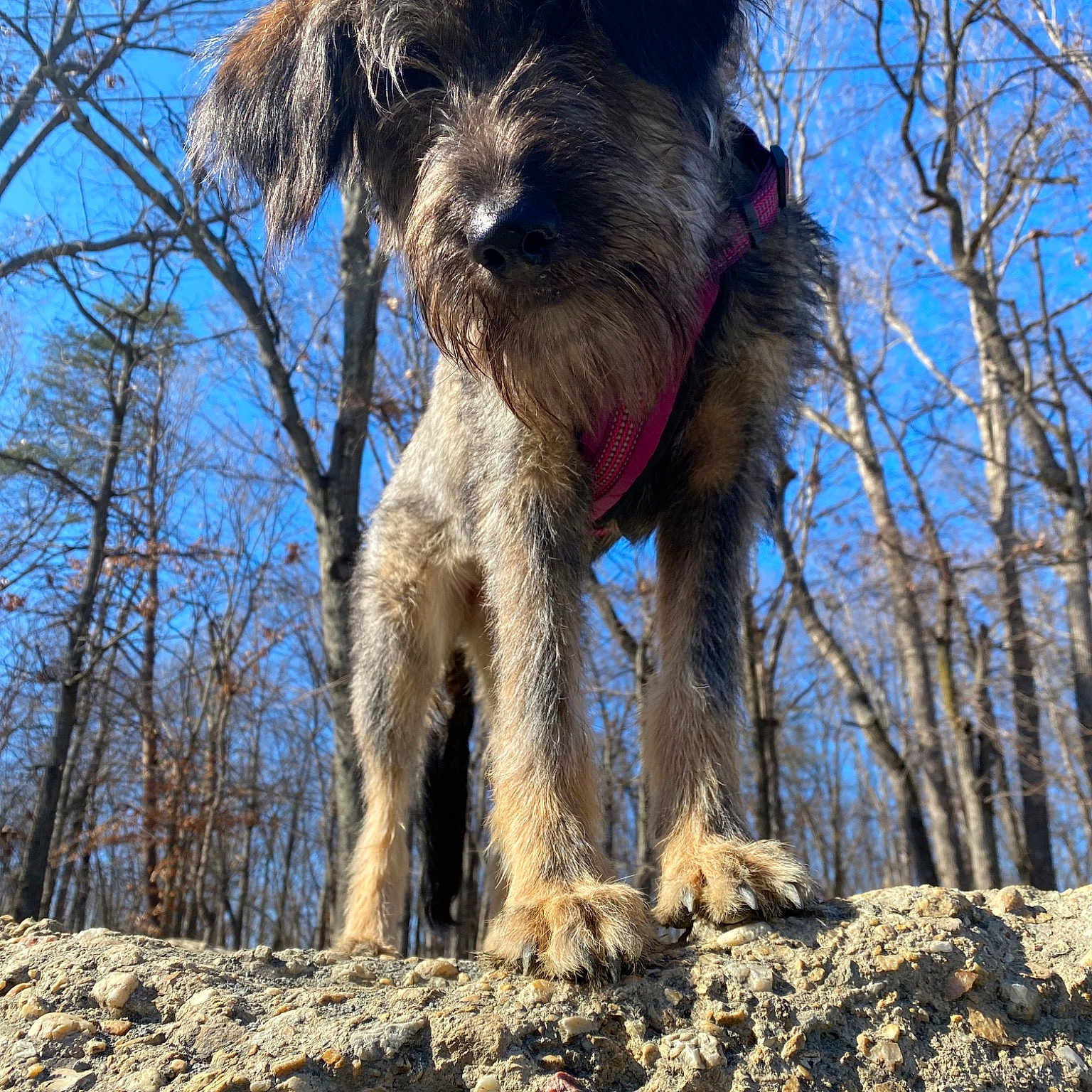 Edith
