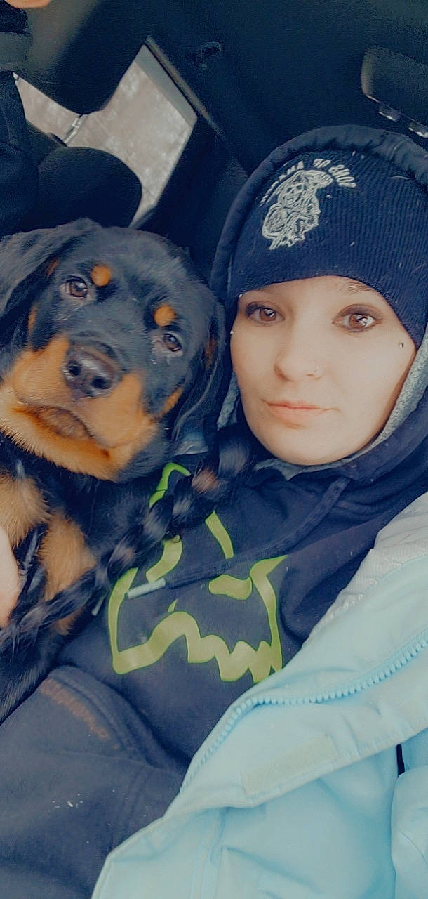 Kratos joined the competition — help win amazing prizes! black_hair, canidae, cap, carnivore, companion_dog, cool, dog, dog_breed, electric_blue, eye, fawn, fur, guard_dog, hat, head, outerwear, purple, rottweiler, snout, sporting_group