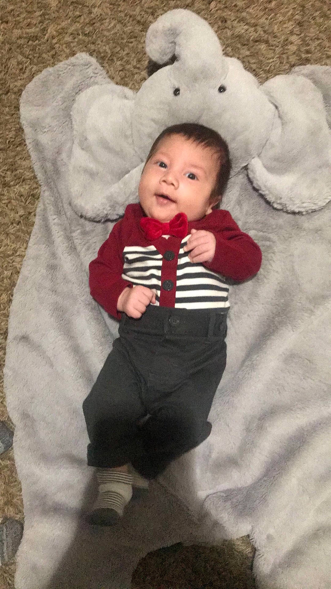 Lincoln is registered to the contest to win money with this photo: child, fur, infant, person, product, skin, textile, toddler