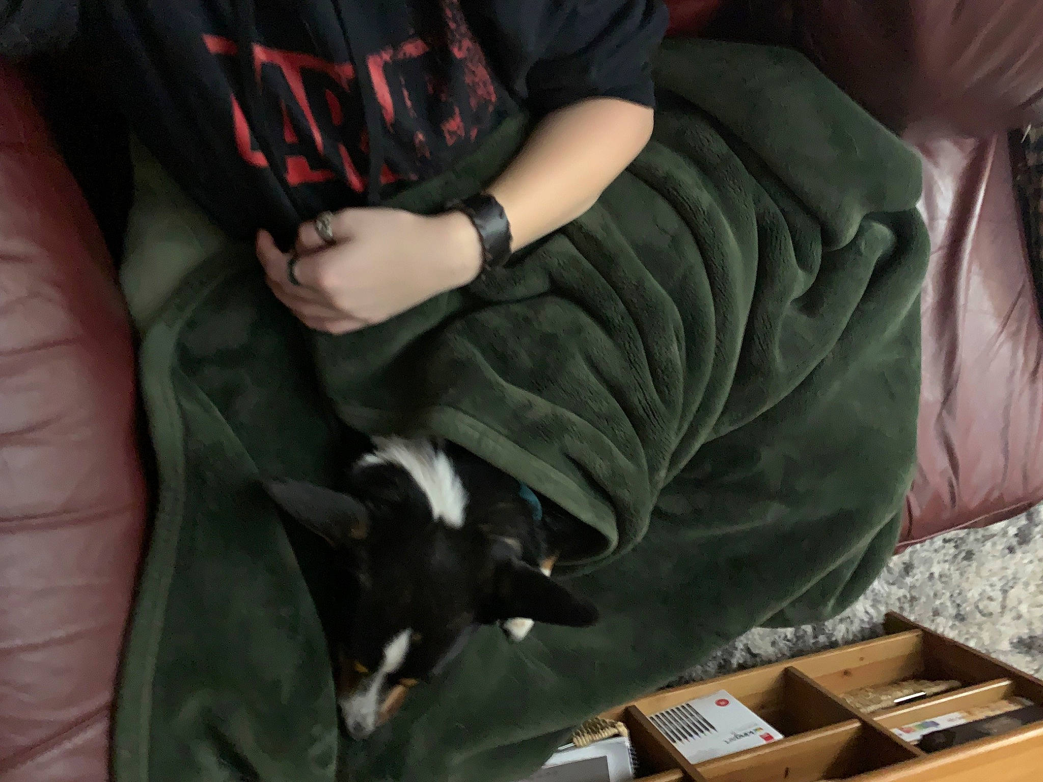 Skylar is registered to the contest to win money with this photo: box, carnivore, comfort, companion_dog, dog_breed, elbow, felidae, finger, gesture, human_leg, mammal, nail, room, shipping_box, sitting, sleeve, thigh, watch, wood, wrist