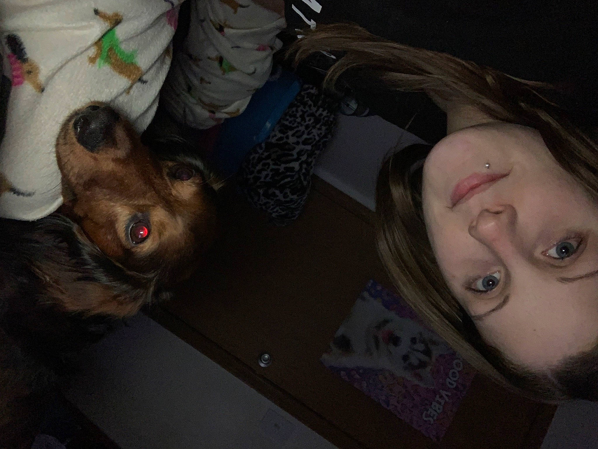 Mater is registered to the contest to win money with this photo: carnivore, companion_dog, dog_breed, ear, eyelash, eyewear, fawn, flesh, fun, fur, hair_coloring, hairstyle, jaw, mouth, nose, selfie, skin, snout, tree, whiskers