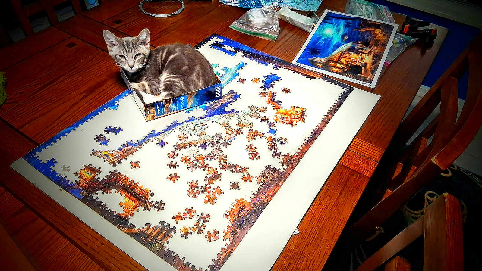 Sir Drako is registered to the contest to win money with this photo: kitten, cat, puzzle, table, wooden_table, puzzle_pieces, box, indoor, pet, feline, curious, sitting, small, gray_cat, striped_cat, unfinished_puzzle, home, chair, paper, plastic_bag