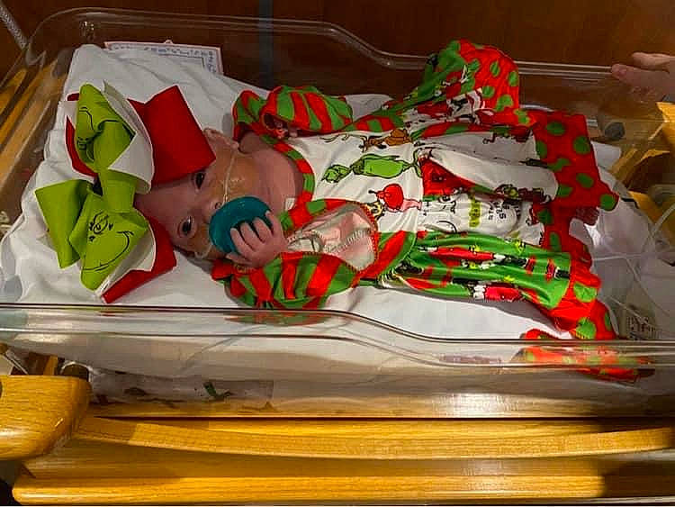 Hadleigh is registered to the contest to win money with this photo: art, athletic_shoe, carmine, christmas, comfort_food, cuisine, delicacy, dish, event, hardwood, ingredient, person, porcelain, room, statue, wood