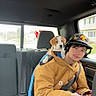 young_man, puppy, dog, car_interior, backseat, seatbelt, leash, cap, jacket, casual_clothing, window, headphones, sitting, pet, companion, relaxed, indoors, daylight, roadside_view, comfort