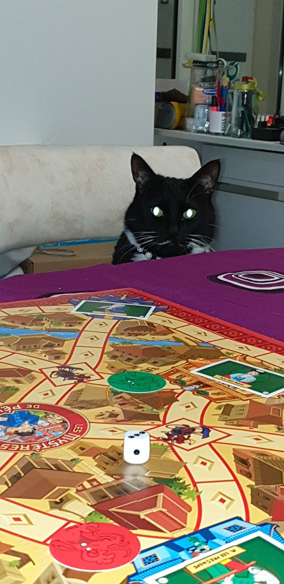 Coockie'S a rejoint le concours — aidez-le/la à gagner de superbes lots ! black_cat, carnivore, cat, domestic_short_haired_cat, felidae, floor, games, indoor_games_and_sports, kitten, play, recreation, room, small_to_medium_sized_cats, table, textile, whiskers