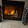 cat, fireplace, candles, skulls, decorations, tile_floor, toy, indoor, pet, animal, light, shadow, cozy, curious, orange_cat, ceramic_skulls, glowing, warm_light, home, floor