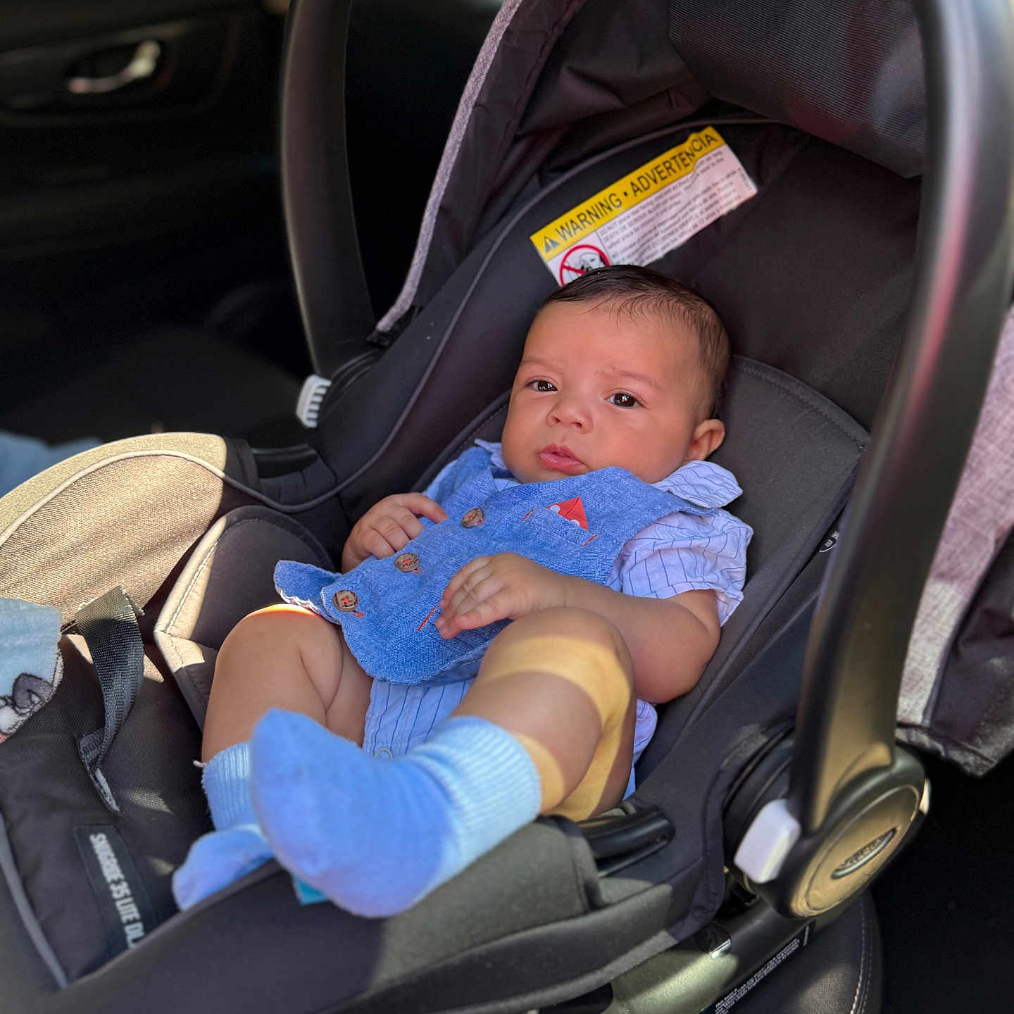 Thiago joined the competition — help win amazing prizes! baby, blue_vest, car, car_interior, car_seat, child, clothing, cute, face, head, infant, person, portrait, safety, seatbelt, sitting, socks, sunlight, vehicle_interior, young_child