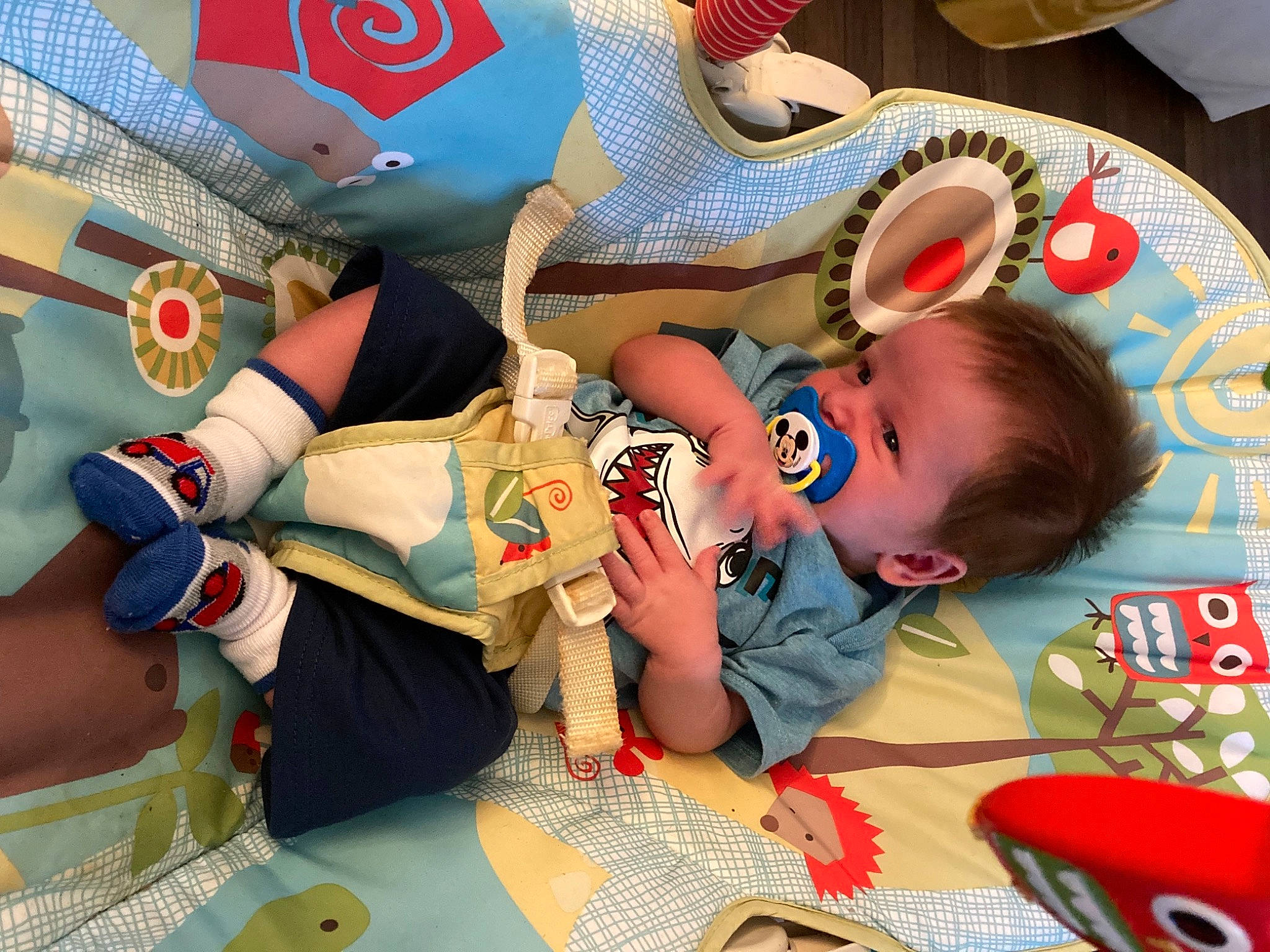 Andrew is registered to the contest to win money with this photo: baby, baby_products, baby_toys, carmine, child, comfort, event, fictional_character, fun, games, human_leg, leisure, linens, mouth, person, play, recreation, room, thigh, toddler