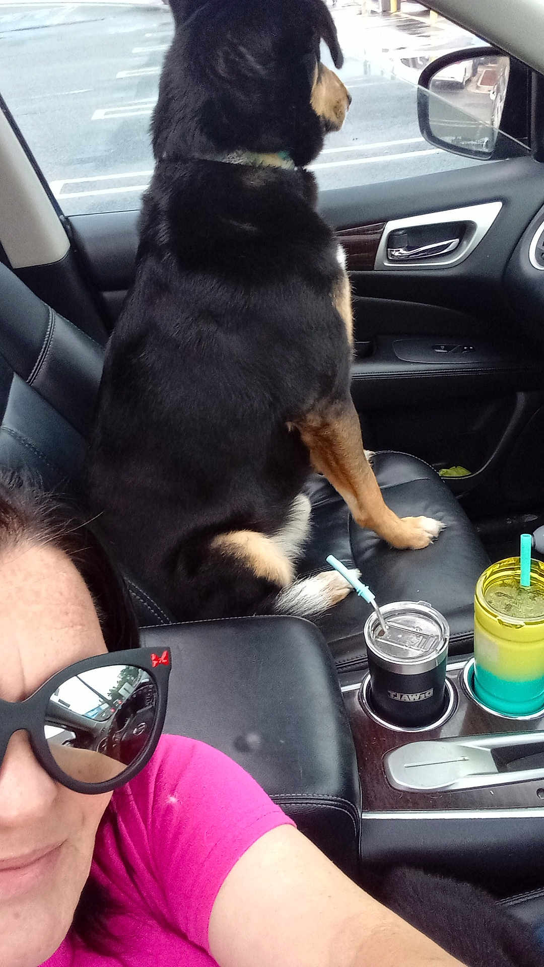 Tyson joined the competition — help win amazing prizes! woman, selfie, sunglasses, dog, car_interior, passenger_seat, black_dog, tan_markings, cup_holder, drink, straw, parking_lot, window, seat, leather_seat, pink_shirt, reflection, casual, pet, vehicle