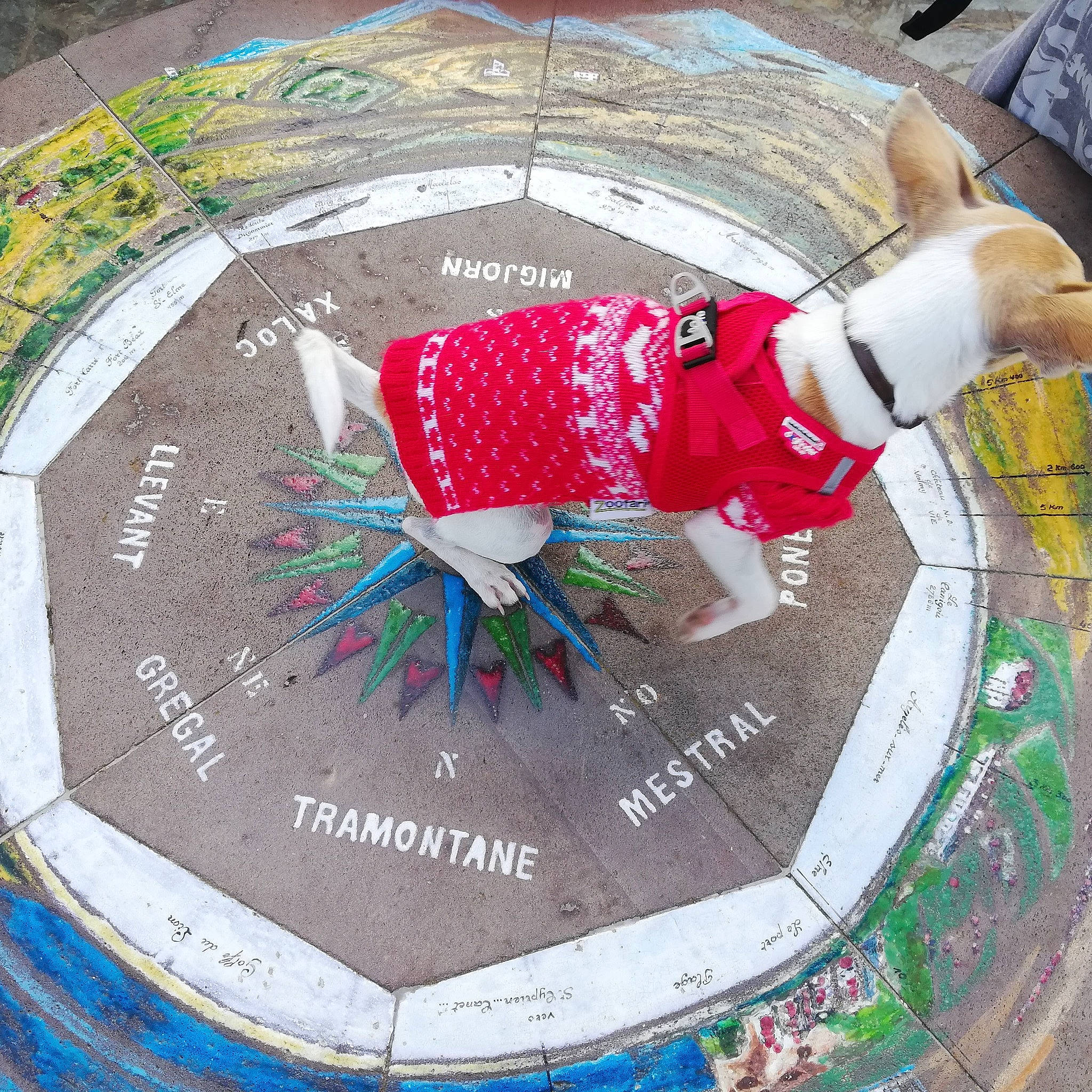 Paao a rejoint le concours — aidez-le/la à gagner de superbes lots ! christmas_decoration, circle, illustration, interior_design, pattern, world, wreath