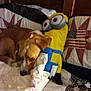 animal, bed, blanket, brown_dog, comfort, cozy, dog, fabric, home, indoor, minion, pattern, pet, plush_toy, quilt, resting, sleepy, stuffed_animal, toy, wood