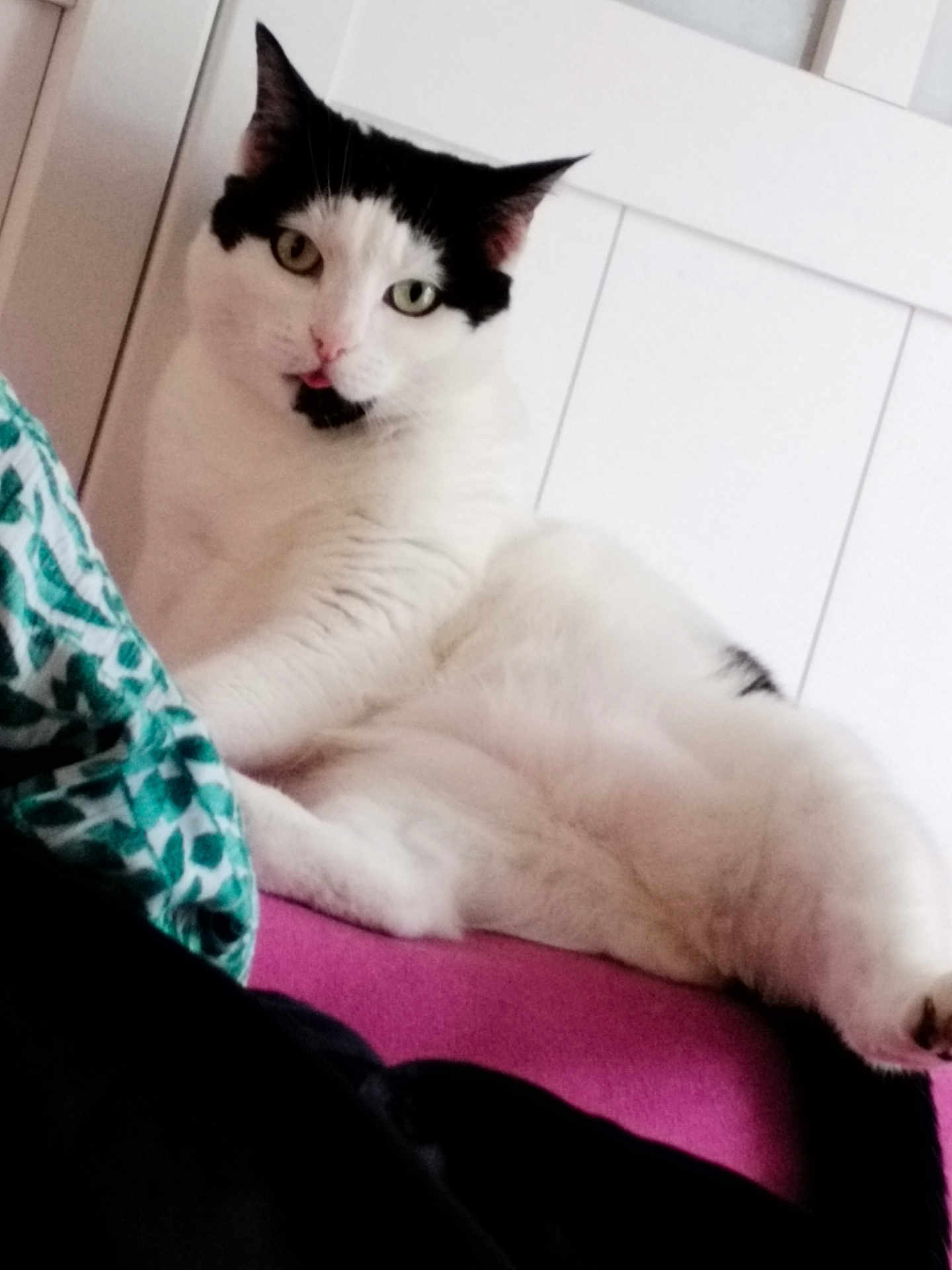 Nina