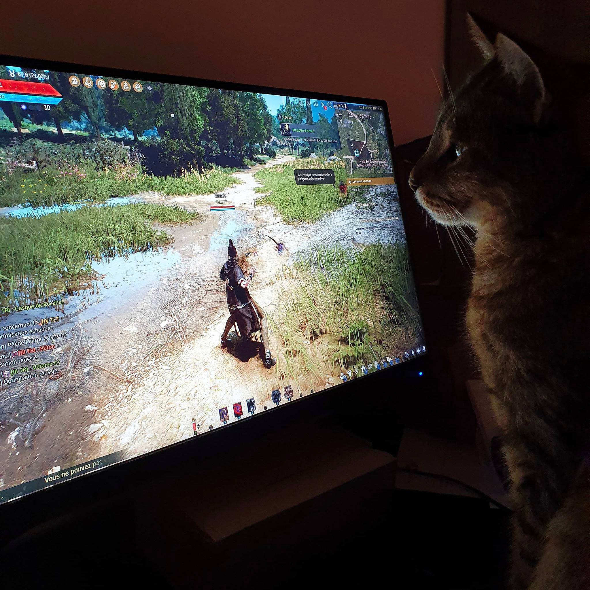 Loustic a rejoint le concours — aidez-le/la à gagner de superbes lots ! carnivore, cat, display_device, domestic_short_haired_cat, electronic_device, felidae, flat_panel_display, kitten, media, photography, screen, sky, small_to_medium_sized_cats, snapshot, square, technology, television, vehicle, whiskers, window