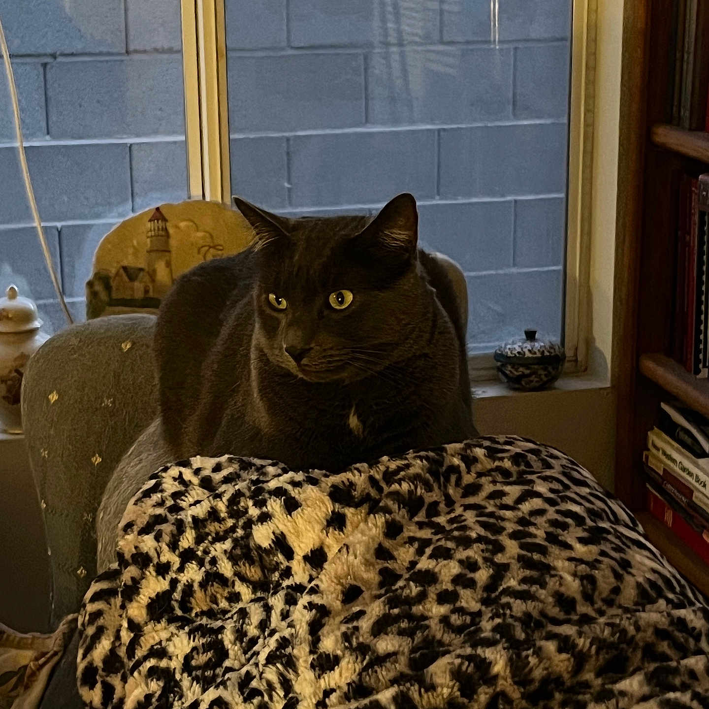 Salvatore