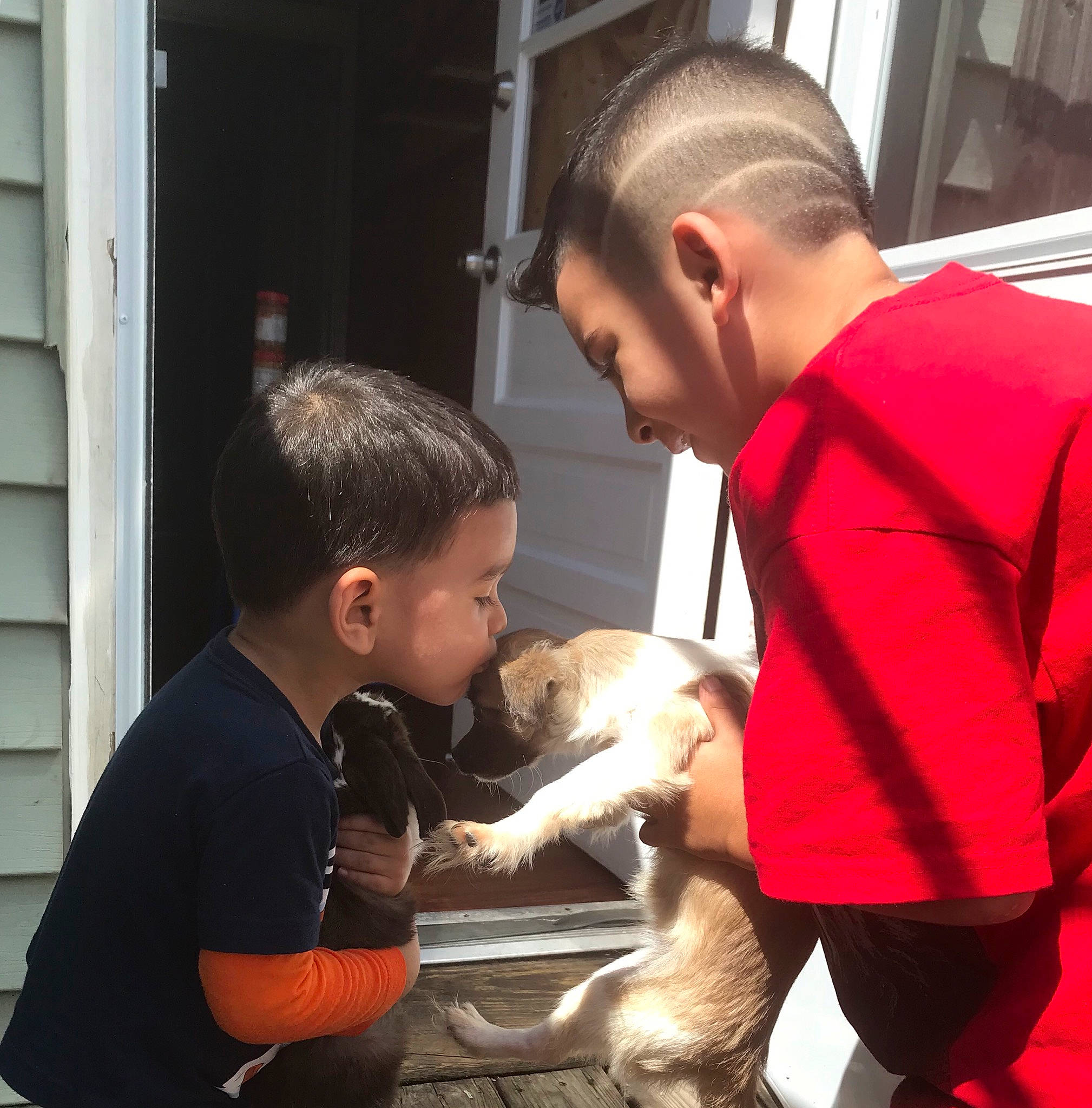 Numnums is registered to the contest to win money with this photo: canidae, child, puppy, toddler