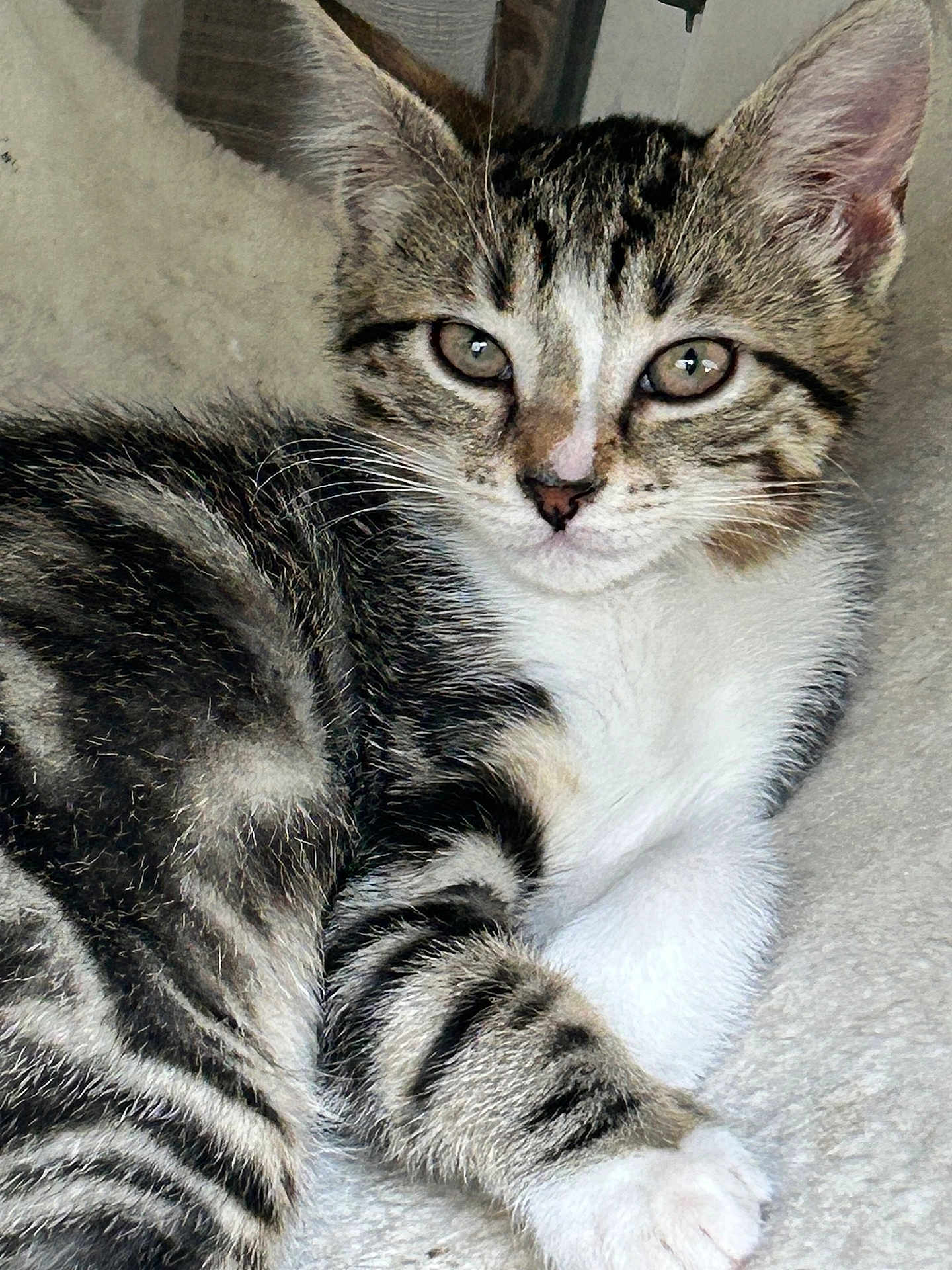 Kiara