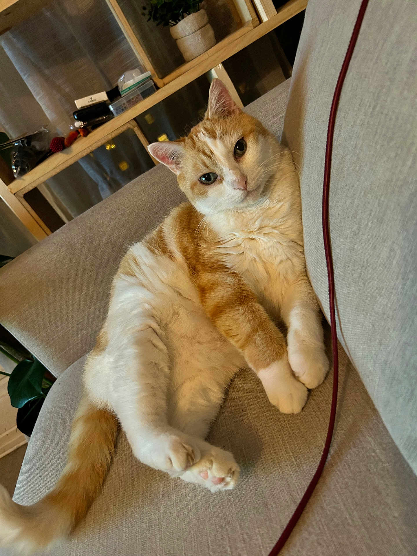 Caramel