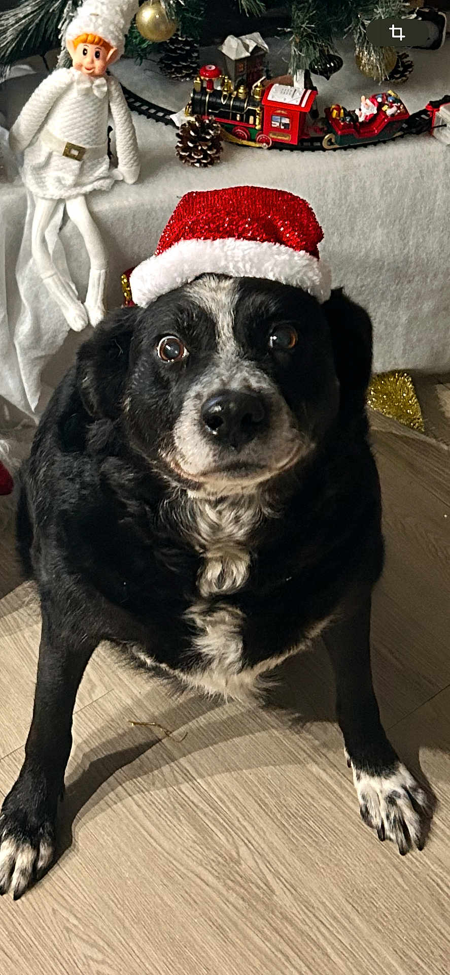 Bamby