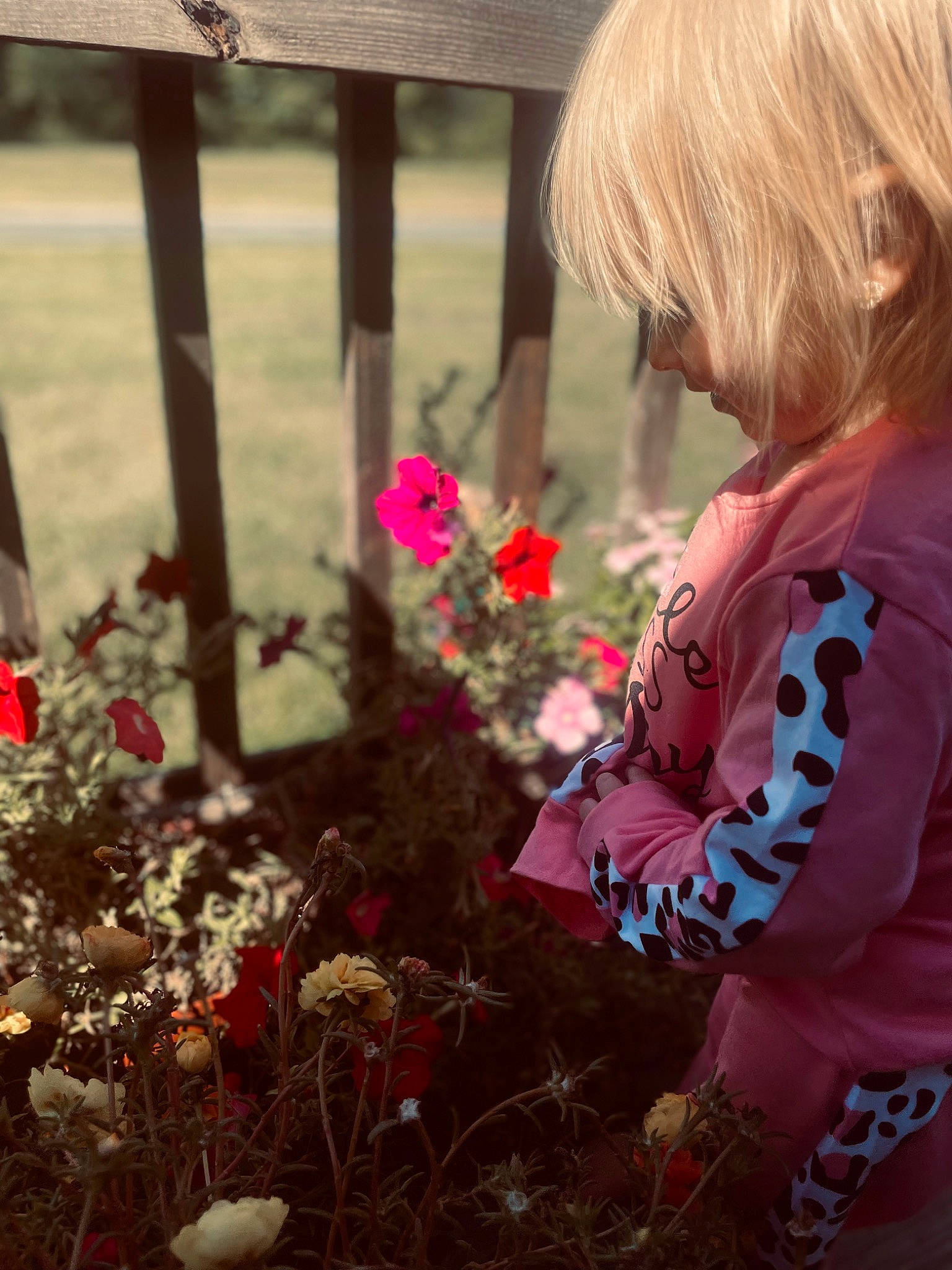 Liberty is registered to the contest to win money with this photo: annual_plant, floral_design, floristry, flower, flower_arranging, flowering_plant, garden, grass, happy, landscape, magenta, morning, people_in_nature, person, petal, pink, plant, rose_family, shrub, soil