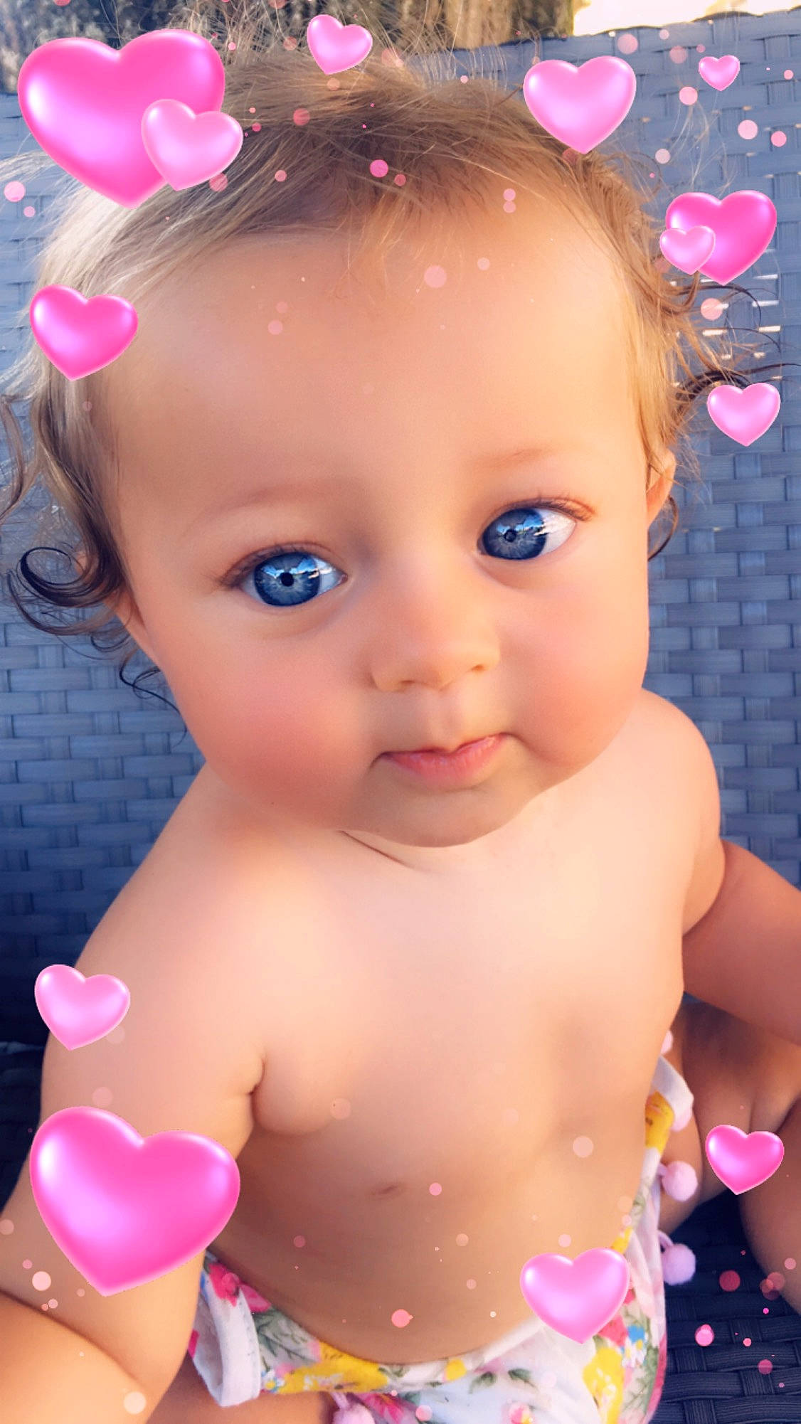 Shelsy a rejoint le concours — aidez-le/la à gagner de superbes lots !