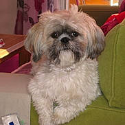 Filou participe au concours pour gagner de l'argent avec cette photo :