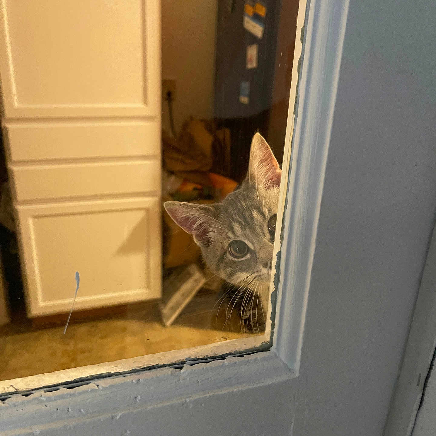 Archie