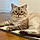 Wilo