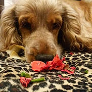 Katrina Mcalister is registered to the contest to win money with this photo: