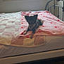 bed, blanket, blinds, carpet, cozy, decorations, dog, hearts, indoor, lying_down, metal_bed_frame, natural_light, pet, pink, quiet, relaxing, room, small_dog, spider_man, window