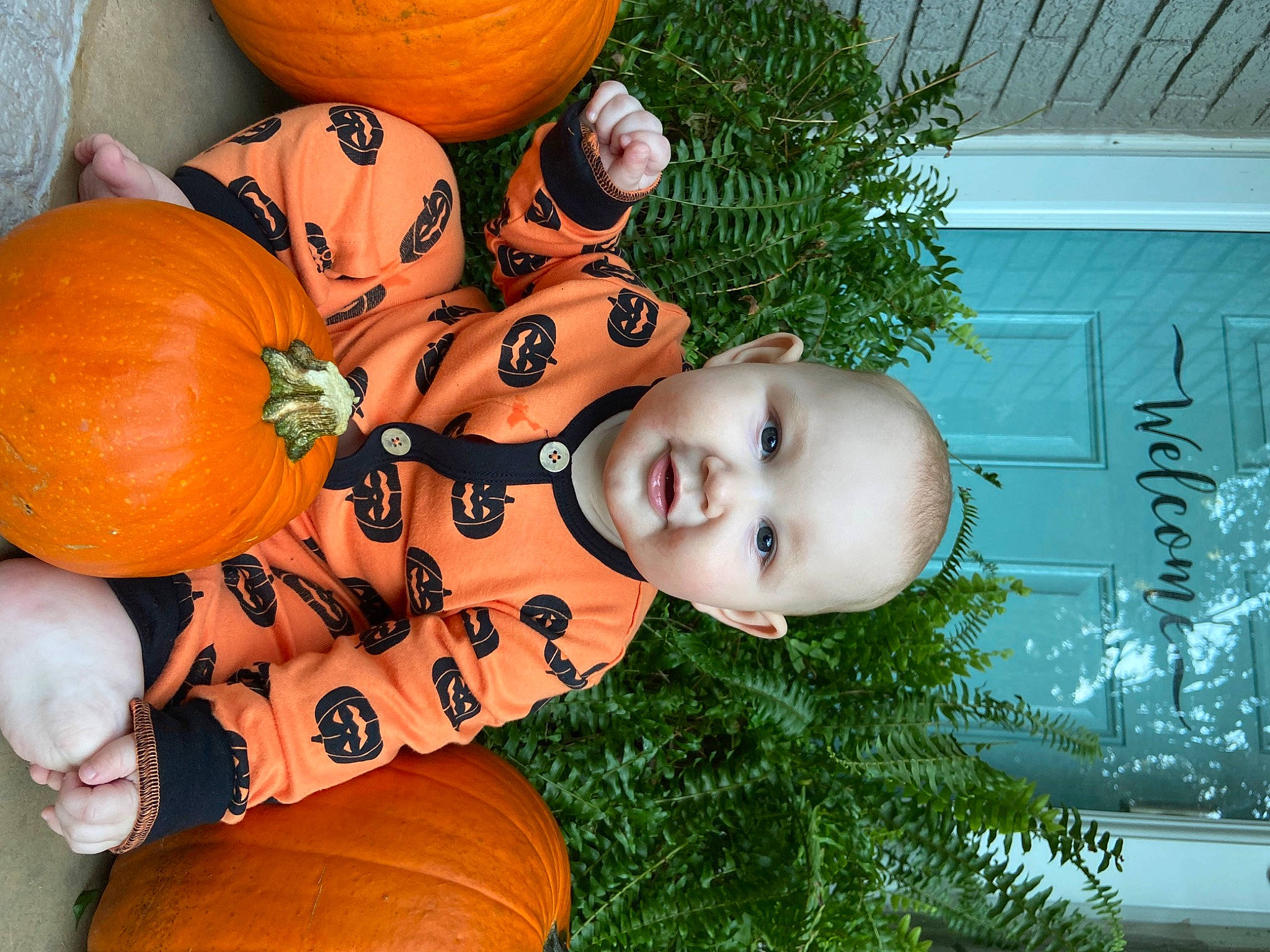 Juniper joined the competition — help win amazing prizes! art, calabaza, cucurbita, event, gourd, grass, green, happy, hat, local_food, natural_foods, orange, people_in_nature, person, plant, produce, pumpkin, squash, vegetable, whole_food